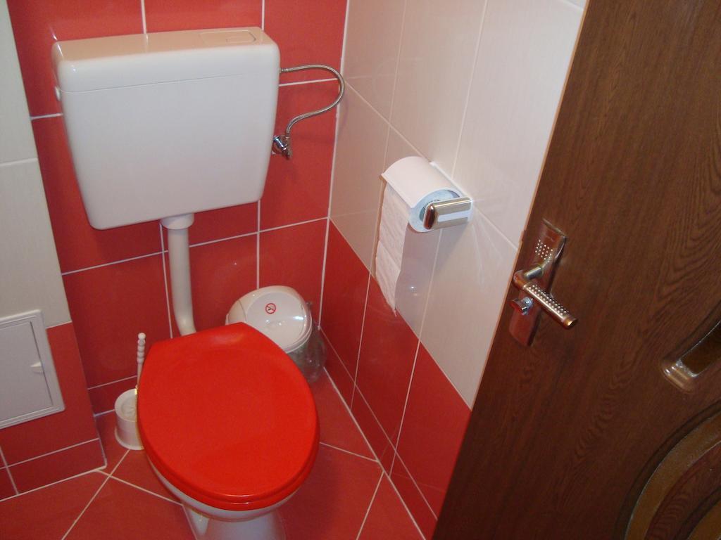 Apartament Miruna Sibiu Filarmonicii Værelse billede